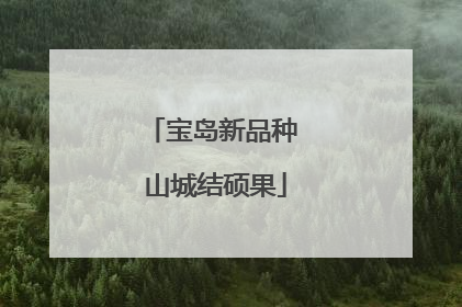 宝岛新品种 山城结硕果